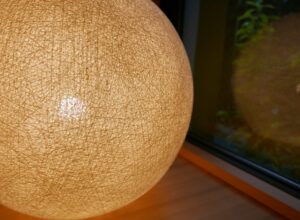 キトヒト（木と人）天然木一枚板家具の魅力と使用方法や樹木知識、自然を愛する人へ送る木を使ったインテリアの情報 | 北欧×和のインテリア「Japandhi（ジャパンディ）」で、暮らしにちょうどいい居心地の良さを