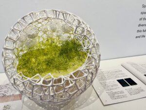 キトヒト（木と人）天然木一枚板家具の魅力と使用方法や樹木知識、自然を愛する人へ送る木を使ったインテリアの情報 | 国産杉とヒノキを使った“開かれた円環”。森と人、伝統と未来をつなぐ藤本建築の展示【後編】