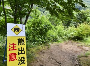 キトヒト（木と人）天然木一枚板家具の魅力と使用方法や樹木知識、自然を愛する人へ送る木を使ったインテリアの情報 | なぜクマが人里に？木とともに暮らす私たちが考えたい森の循環のこと