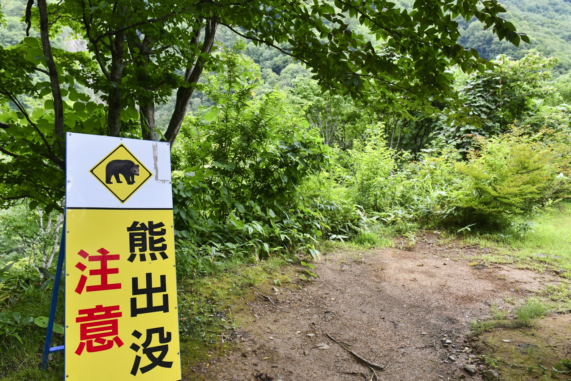 キトヒト（木と人）天然木一枚板家具の魅力と使用方法や樹木知識、自然を愛する人へ送る木を使ったインテリアの情報 | BLOG