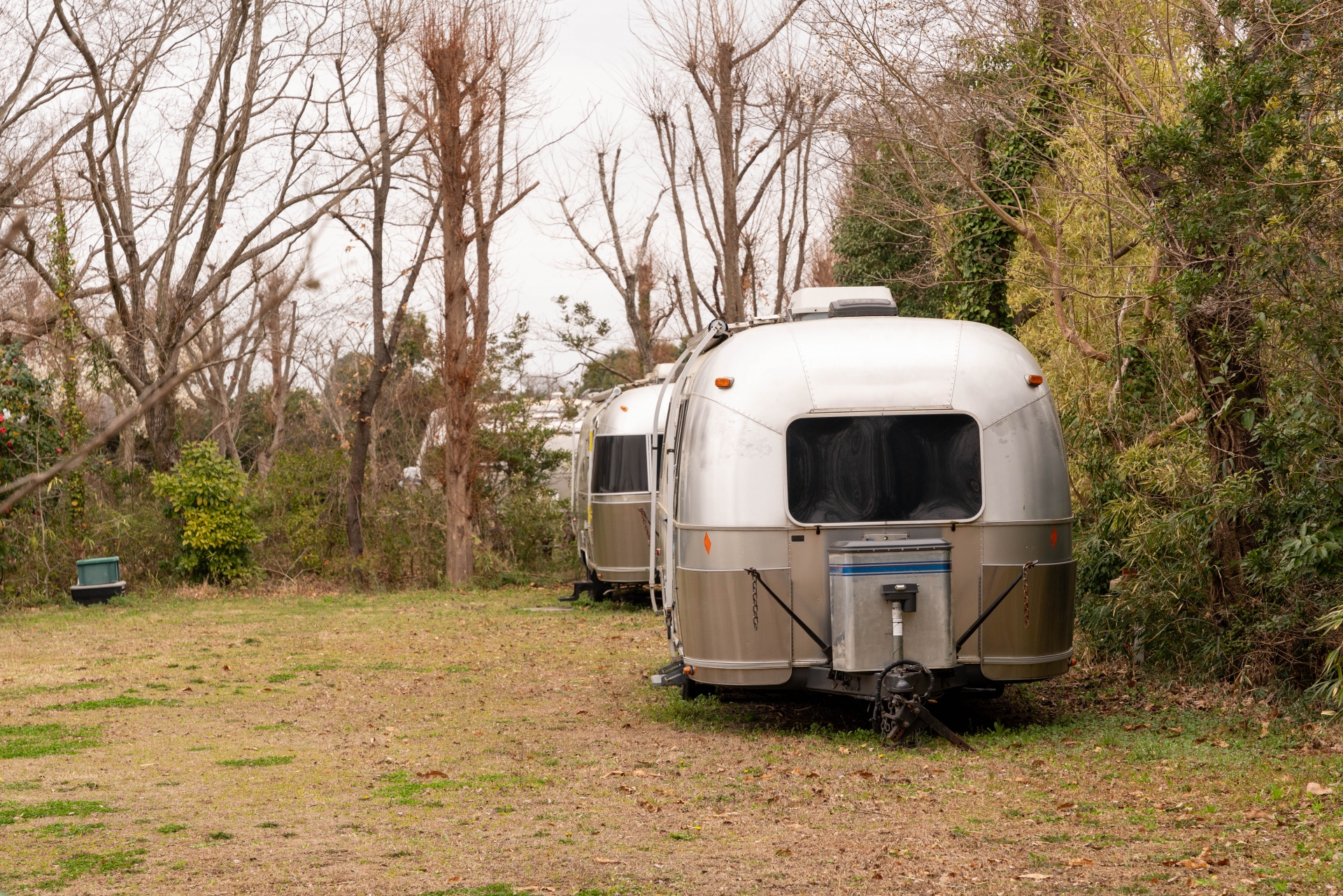 キトヒト（木と人）天然木一枚板家具の魅力と使用方法や樹木知識、自然を愛する人へ送る木を使ったインテリアの情報 | BLOG