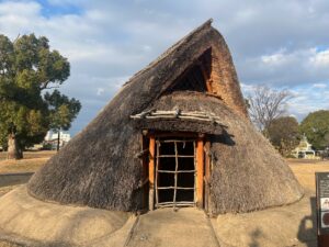 キトヒト(木と人)天然木一枚板家具の魅力と使用方法や樹木知識、自然を愛する人へ送る木を使ったインテリアの情報 | 300万円台で手に入る国産ヒノキのタイニーハウス|カスタマイズできる「コダマベース」 キトヒト(木と人)天然木一枚板家具の魅力と使用方法や樹木知識、自然を愛する人へ送る木を使ったインテリアの情報 | 300万円台で手に入る国産ヒノキのタイニーハウス|カスタマイズできる「コダマベース」
