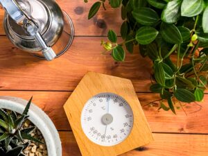 10月8日は「木の日」。無垢の家具と、乾燥する季節の付き合い方